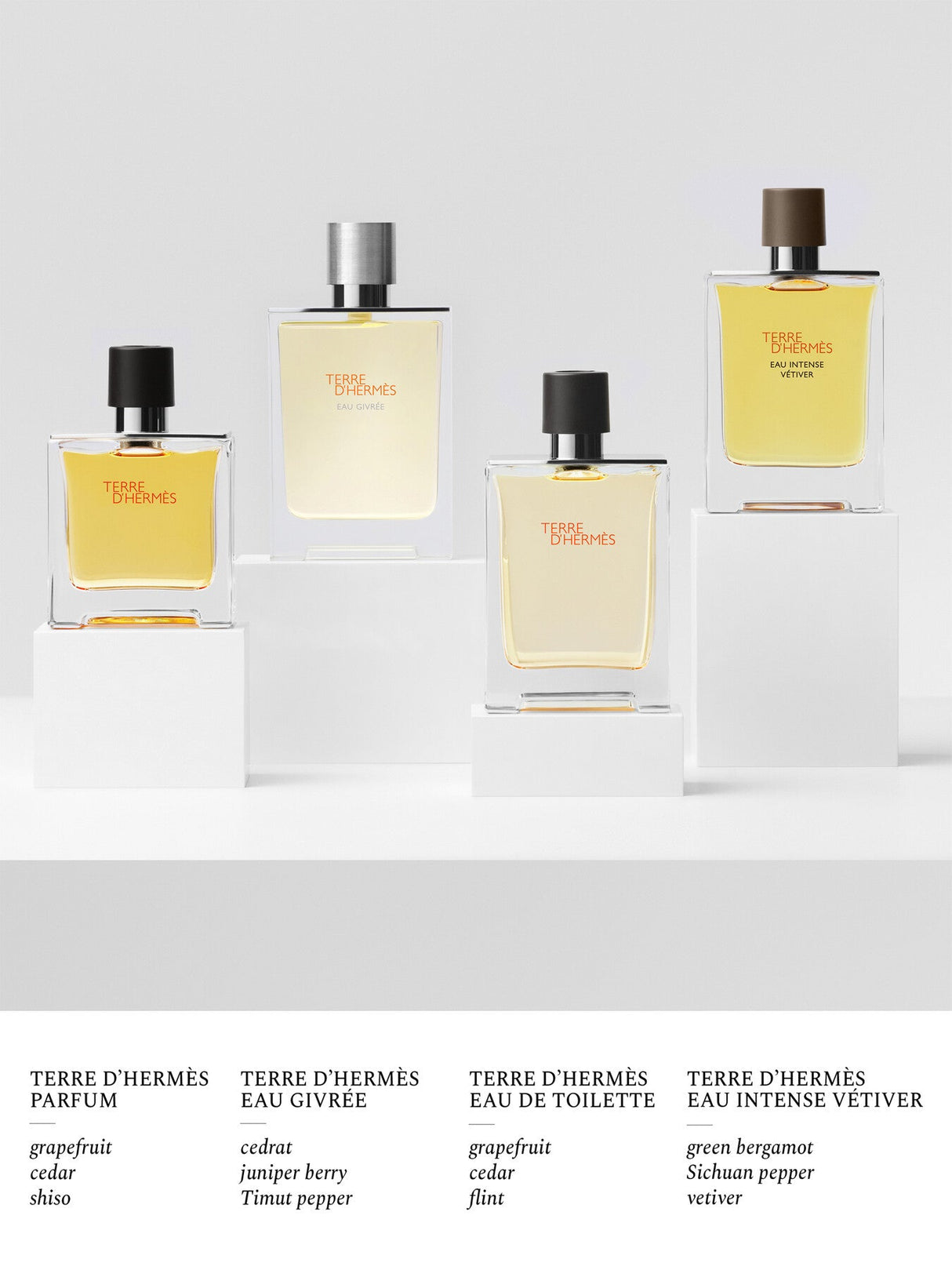 Terre d'Hermès Eau de Toilette 50ml