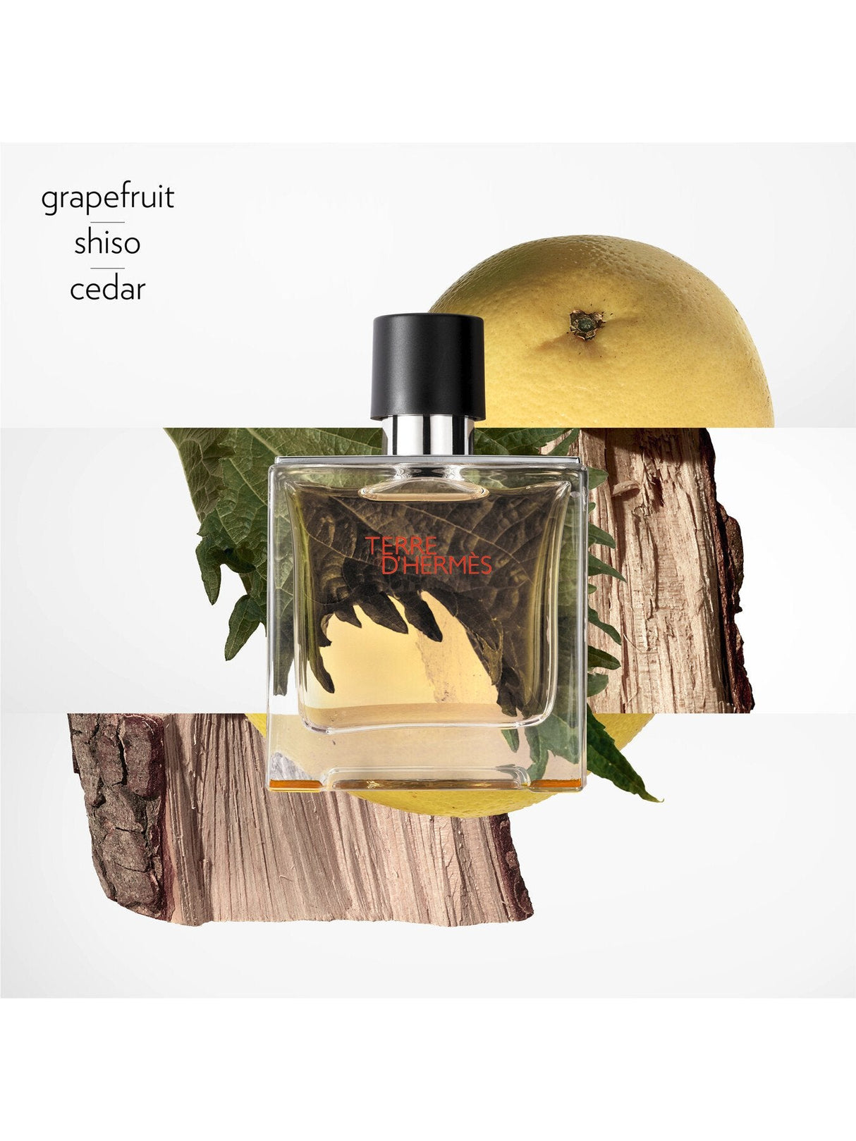 Terre d'Hermès Pure Perfume 75ml
