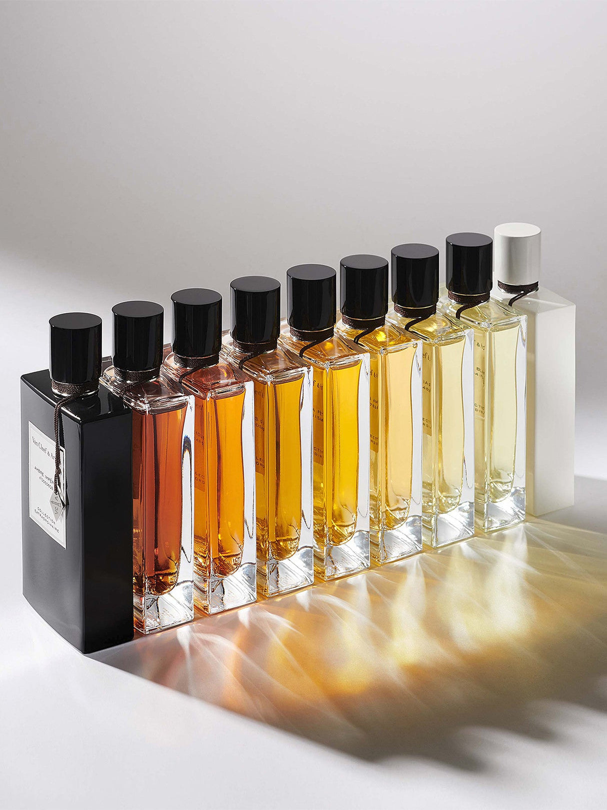 Precious Oud Eau de Parfum 75 ml