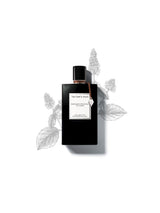 Moonlight Patchouli Eau de Parfum 75ml