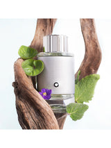 Montblanc Explorer Platinum Eau de Parfum 100ml