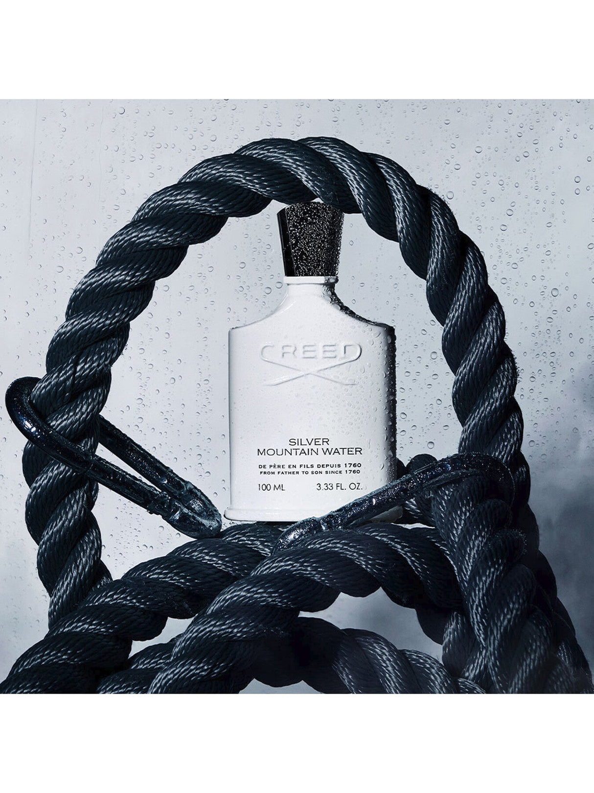Silver Mountain Water Eau de Parfum 100ml