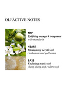 Orange Bergamot Aroma Reeds 150ml