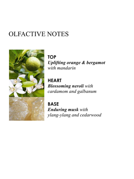 Orange Bergamot Aroma Reeds 150ml