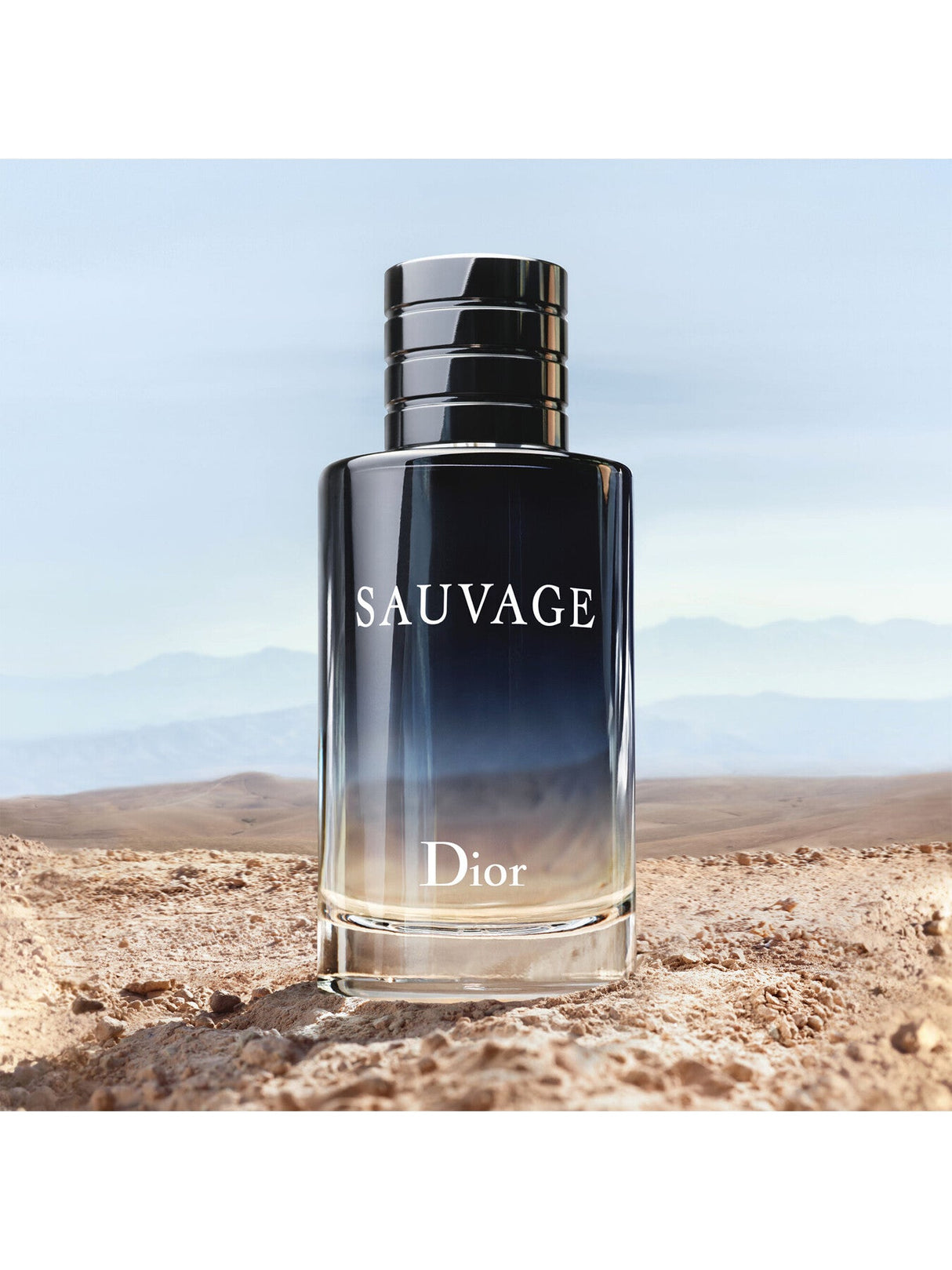 Sauvage Eau de Toilette 60ml
