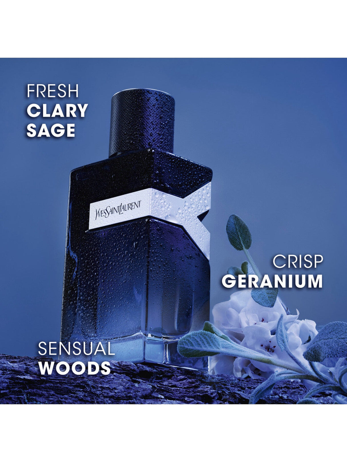 Y Eau de Parfum 100ml