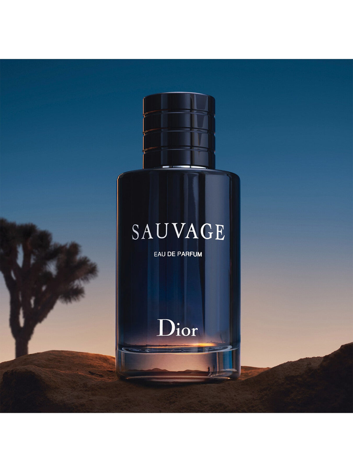 Sauvage Eau de Parfum 60ml