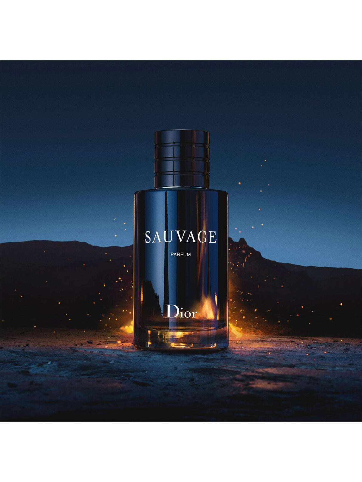 Sauvage Parfum 100ml