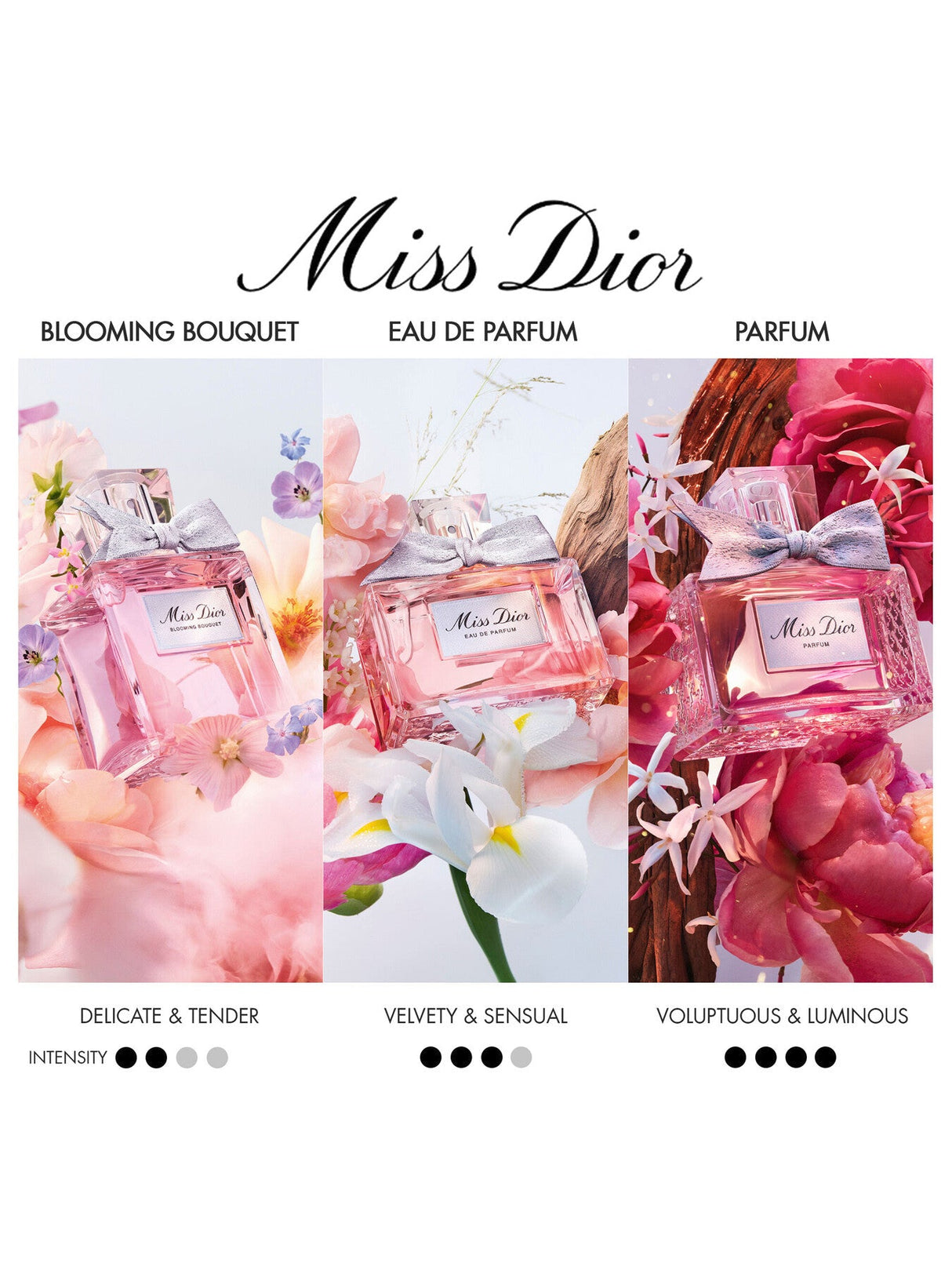 Miss Dior Eau de Parfum 50ml