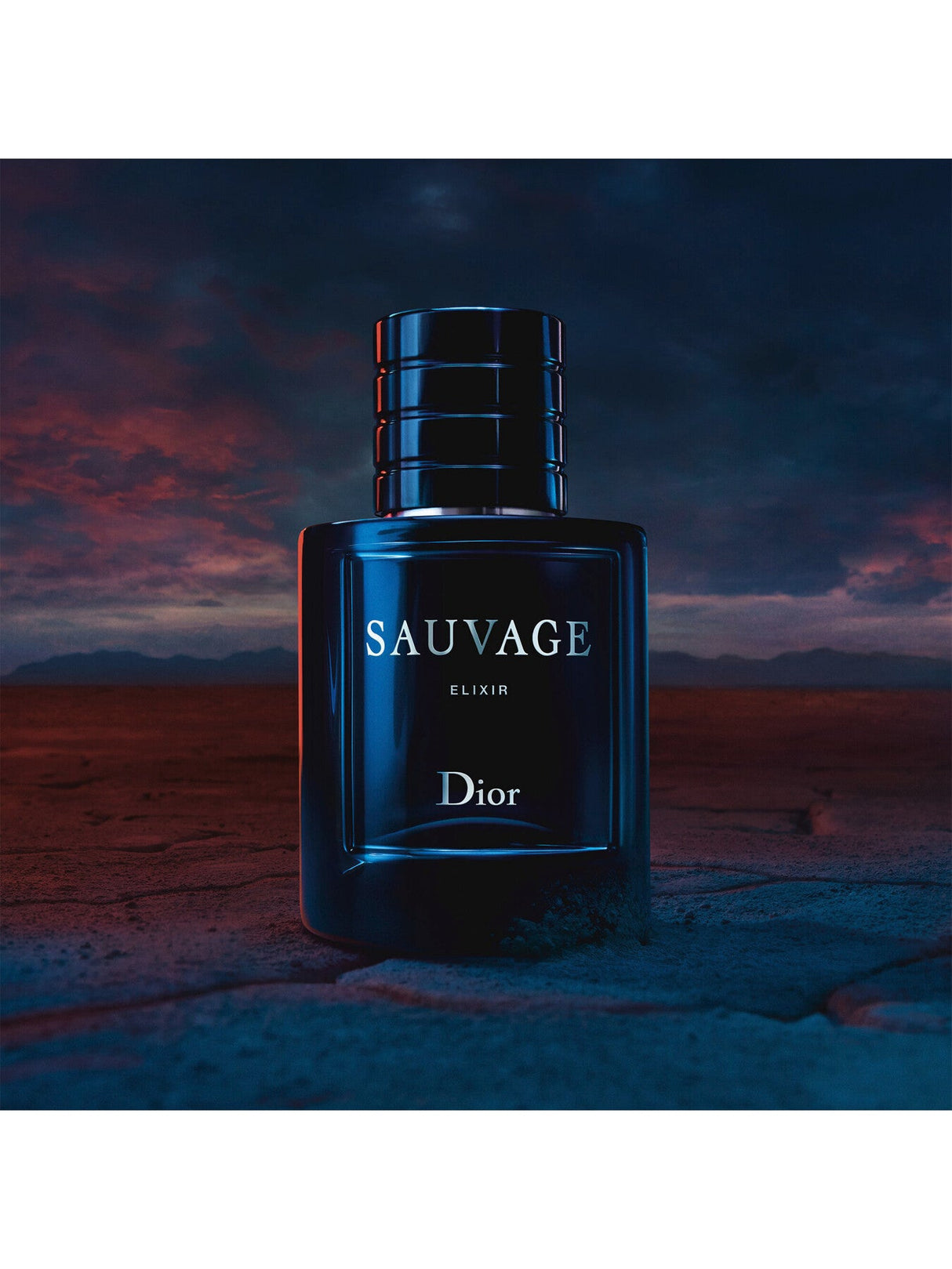 Sauvage Elixir 100ml