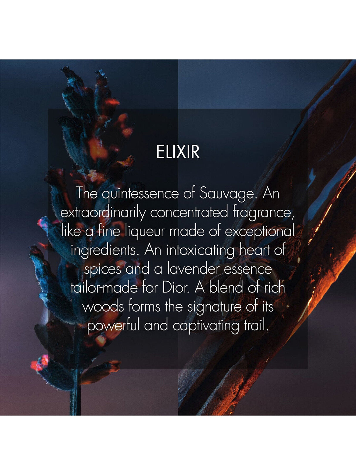 Sauvage Elixir 100ml