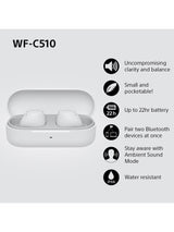 WFC510W Truly Wireless In ear Headphones