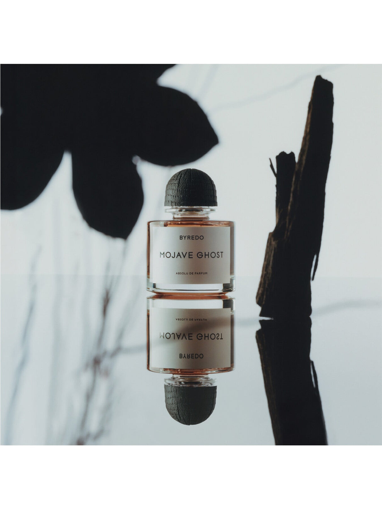 Mojave Ghost Absolu de Parfum 100ml