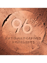 Terracotta Bronzing Powder