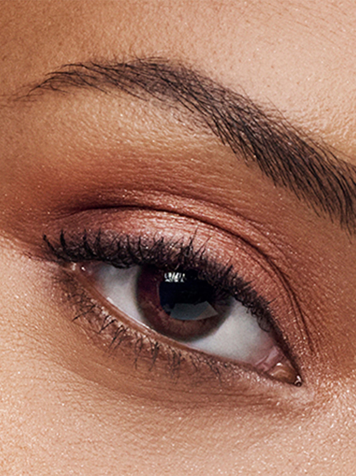 The Essential Eyeshadow Quad