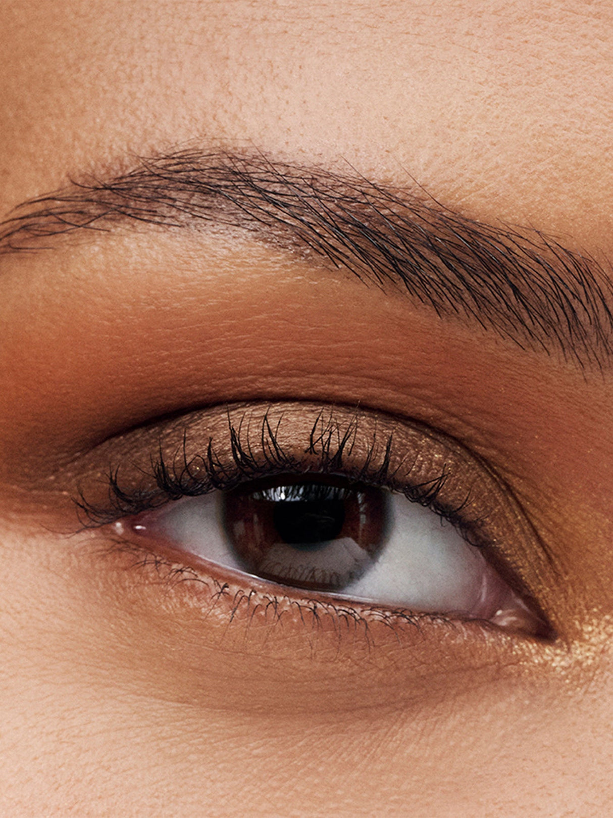 The Essential Eyeshadow Quad