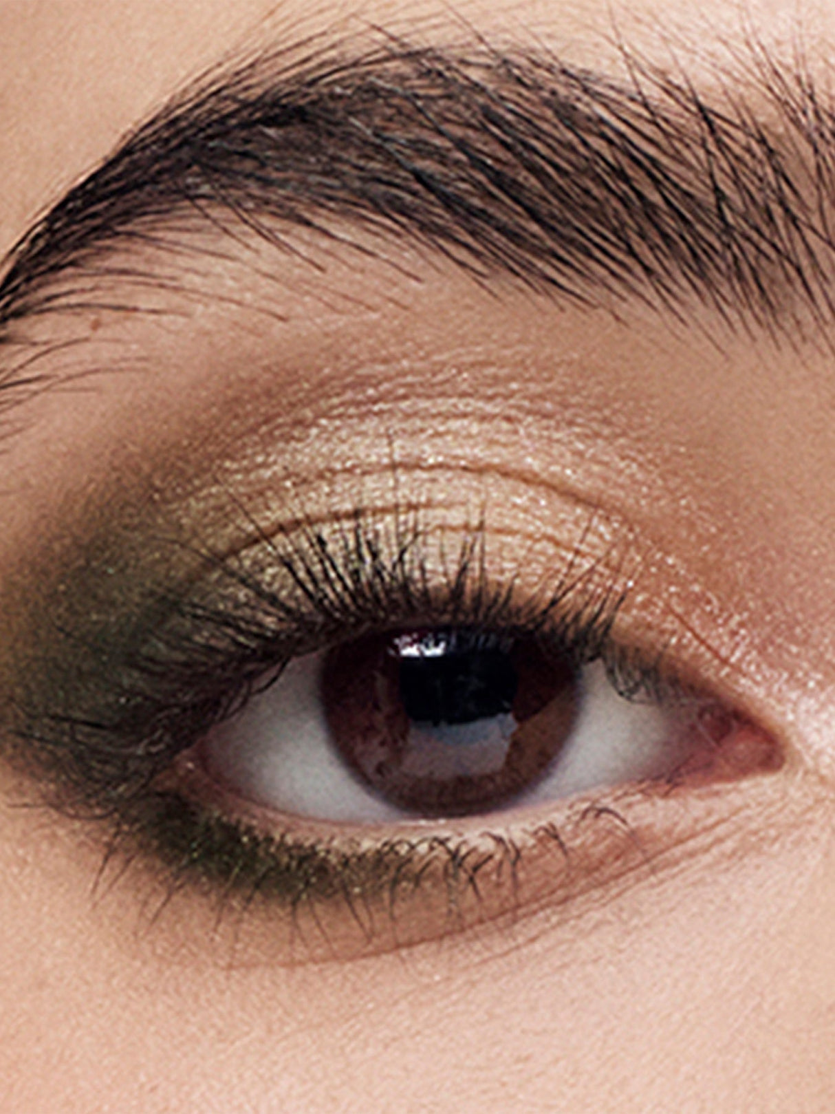 The Essential Eyeshadow Quad
