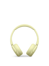WHCH520Y Wireless Bluetooth Headphones