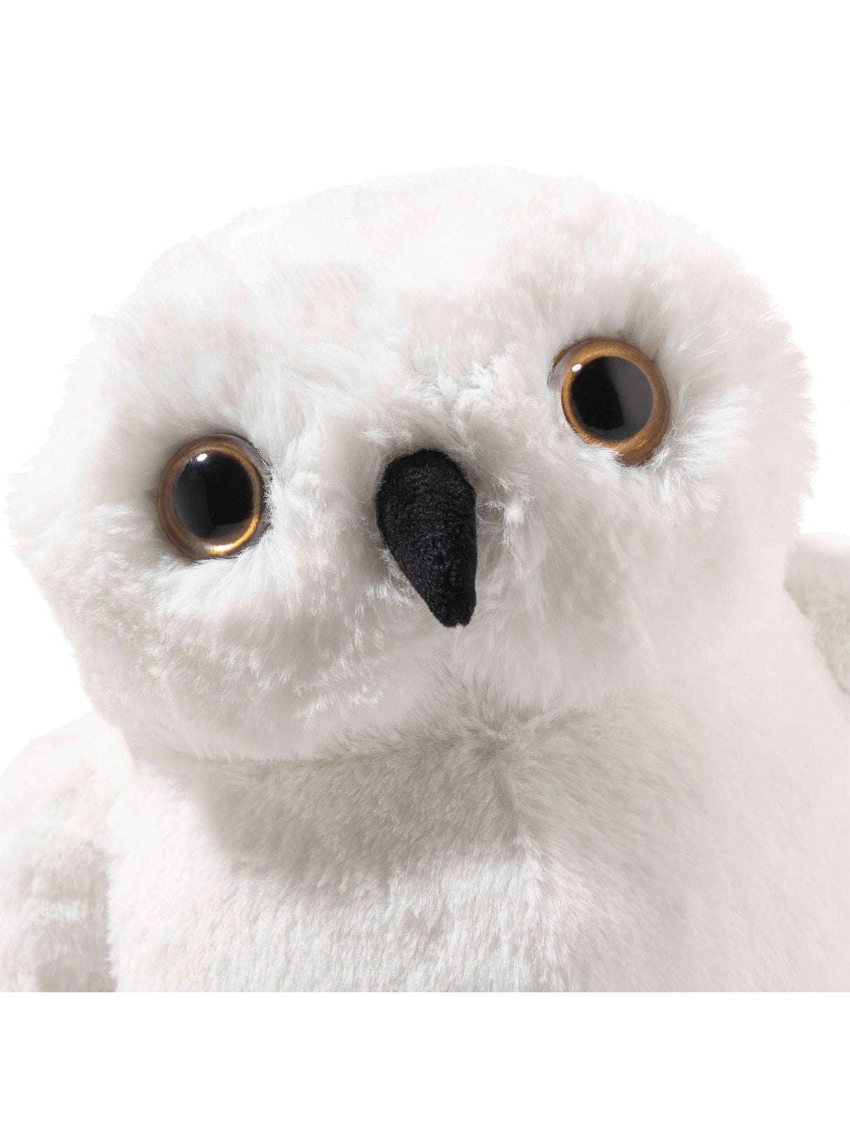 Hedwig Owl