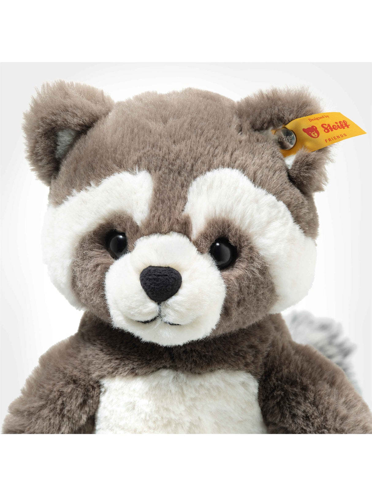 Pedro Raccoon