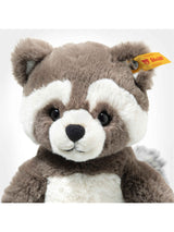 Pedro Raccoon
