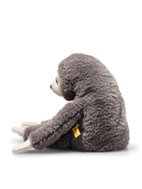 Sanny Sloth