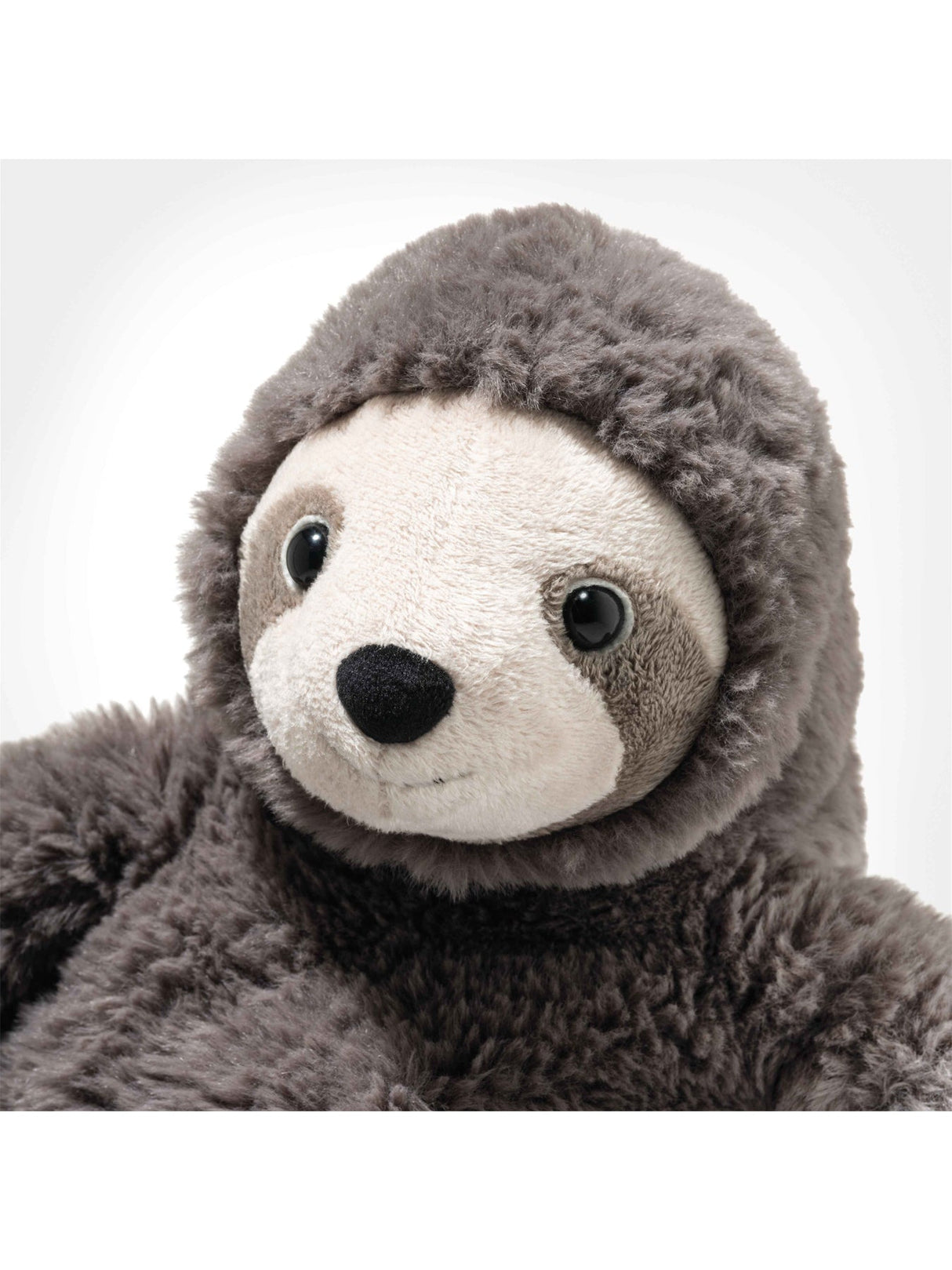 Sanny Sloth