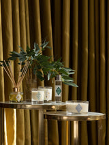 Rose Oud Reed Diffuser 120ml